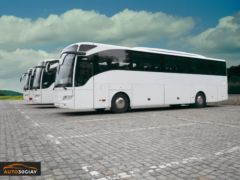 Vì sao nên chọn Ô Tô 30S để thu mua xe 45 chỗ
